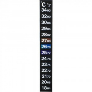 termometr-1