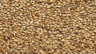 Изображение загружено обработкой