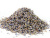 lavanda cvetki-4 (1) lavanda cvetki-4 (1)