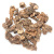 koren kalgana-2
